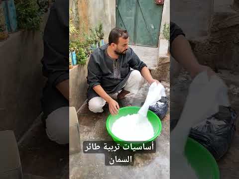 الفرش الصحيح لطائر السمان تربية السمان الفري السمان 