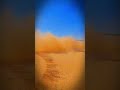 Isuzu ايسوزو لايك Elsoltesy