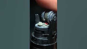 Lighter closeup in macro #shorts #macro #closeup #satisfying #asmr