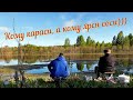 Рыбалка на поплавочную удочку. Караси козлы !