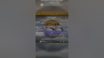 Case Opening Prisma 2 Cases Counter Strike 2 2024 #case #opening #cs2 #gaming