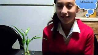 Practica Autoconcepto.mp4