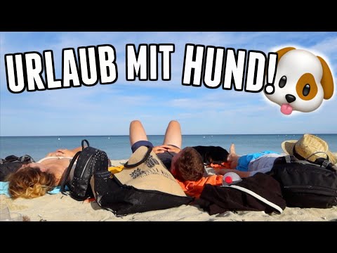 So, this was our first big trip with Maja...Honest conclusion, all the pros and cons - Vlog 159