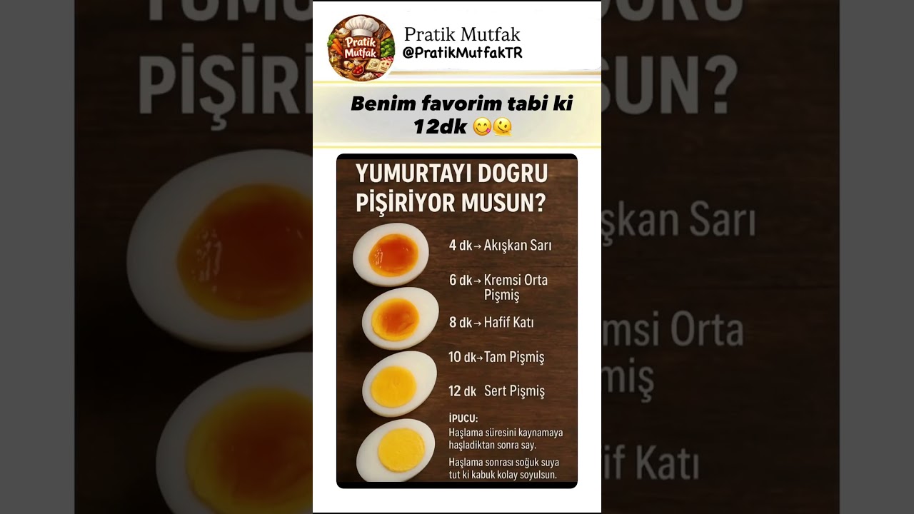 Sizin favoriniz hangisi 😇🥕#yemek #tarif #mutfak #diyet #pratiktarifler