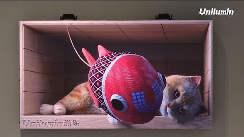 Màn hình LED 3D đầu tiên tại Việt Nam - UNILUMIN