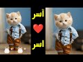 اسر اسر قلبى ياناس اغنية باسم اسر اغنيه بأسم آسر السعودية الجزائر المغرب القطة اسر آسر القطة اسر اسر قلبى ياناس اغنية باسم اسر اغنيه بأسم آسر السعودية الجزائر المغرب القطة اسر آسر القطة