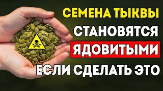 картинка: 8 СМЕРТЕЛЬНЫХ Ошибок При Употреблении СЕМЯН ТЫКВЫ… Избегайте Их Пока Не Поздно!_