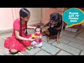 jerry wants mango to eat || happy video