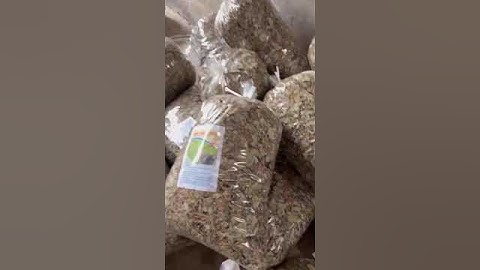 #chợ #mời. kim tiền thảo hàng vừa sấy xong.0983419770