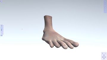 Unity WebGL Player   LayerBodyViewer