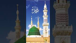 Download Lagu Muhammad Sallalahu Alaihi Wasalam Janmdin ❤#muhammadﷺ #muhammad #allah #islamicvideo #short #sdvilog MP3