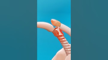 What Happens If Food Goes Down The Wrong Pipe 😨 #shorts #lifehacks #howto #health