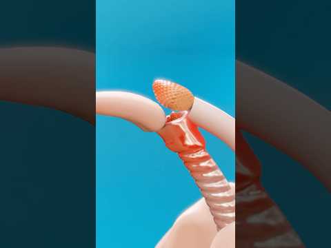 What Happens If Food Goes Down The Wrong Pipe shorts lifehacks howto health