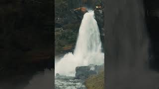 Buddhist Meditation – Deep Mindfulness &amp; Inner Peace Music | Mindfulness Meditation