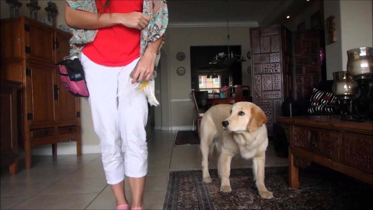 Body Awareness Exercises