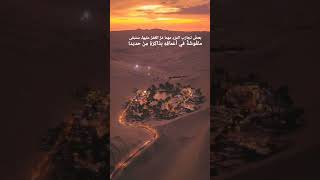 #fypシ゚viral #shortvideo #explore #istanbul #fypシ #shortvideo #short #tiktok #youtubeshorts #youtuber