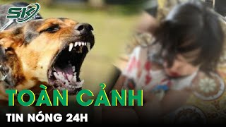 Toàn Cảnh Tin Nóng 24h | Tin Tức Thời Sự Cập Nhật Mới Nhất Hôm Nay | SKĐS