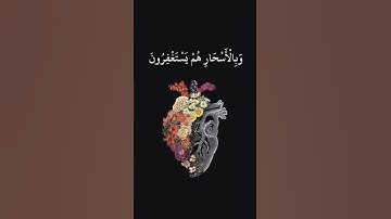 من الآيه ١٧ حتى ١٨ من سورة الذاريات بصوت جميل جداً!😌😄 |لا تنسوا قراءة الوصف