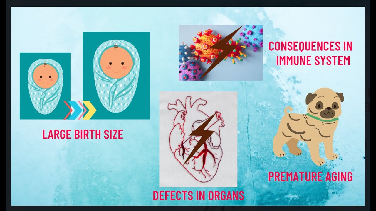 Cloning: Applications/Benefits and Drawbacks!