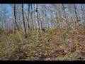 Chevy astro rs hill climb and mud puddle