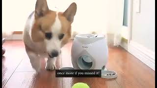 Waggle Dog Ball Thrower and Treat Reward Machine screenshot 3