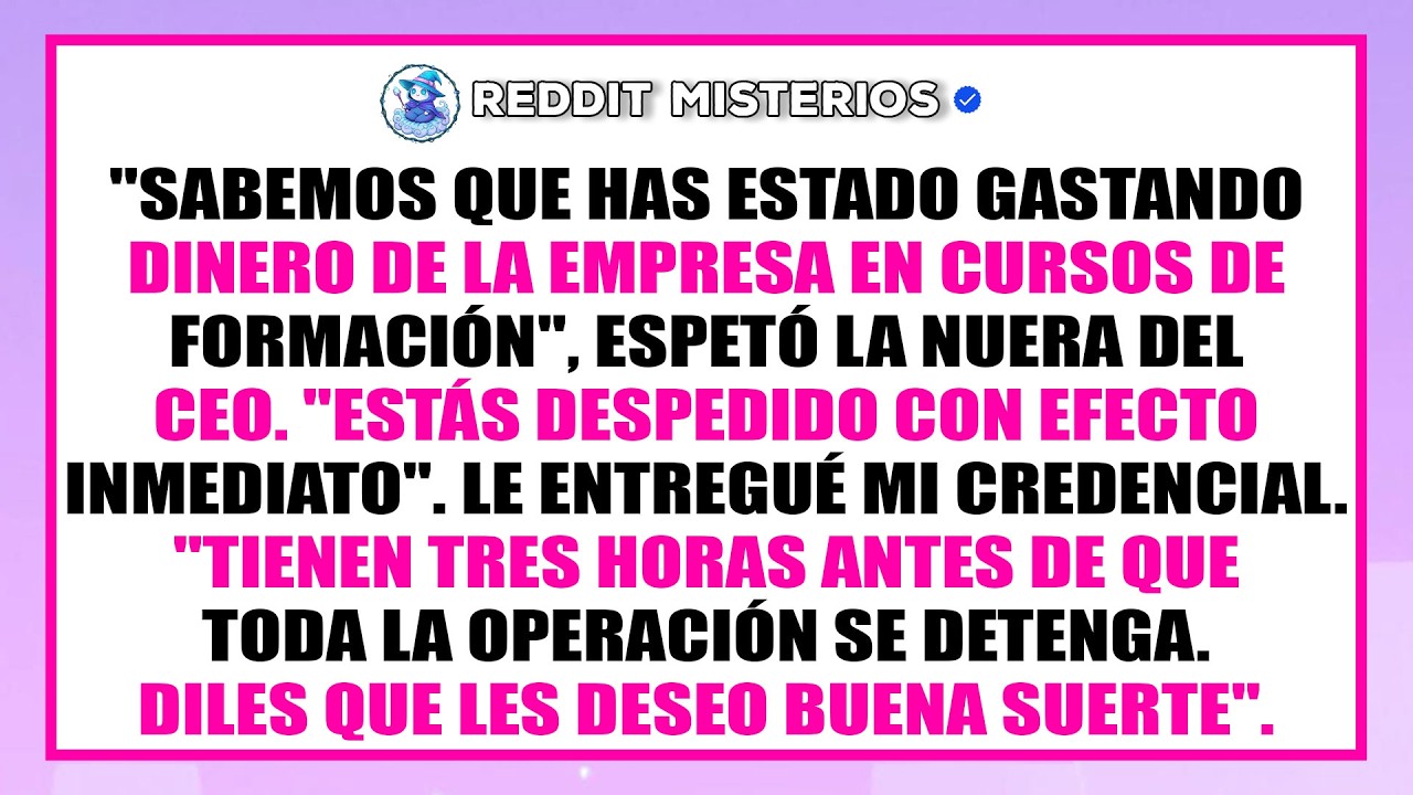 El vicepresidente me despidió por 