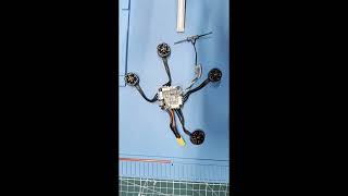 Tiny Trainer -  FAILURE Wealth