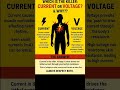 WHICH IS THE KILLER: CURRENT OR VOLTAGE? &amp; WHY?? #shortvideos #information