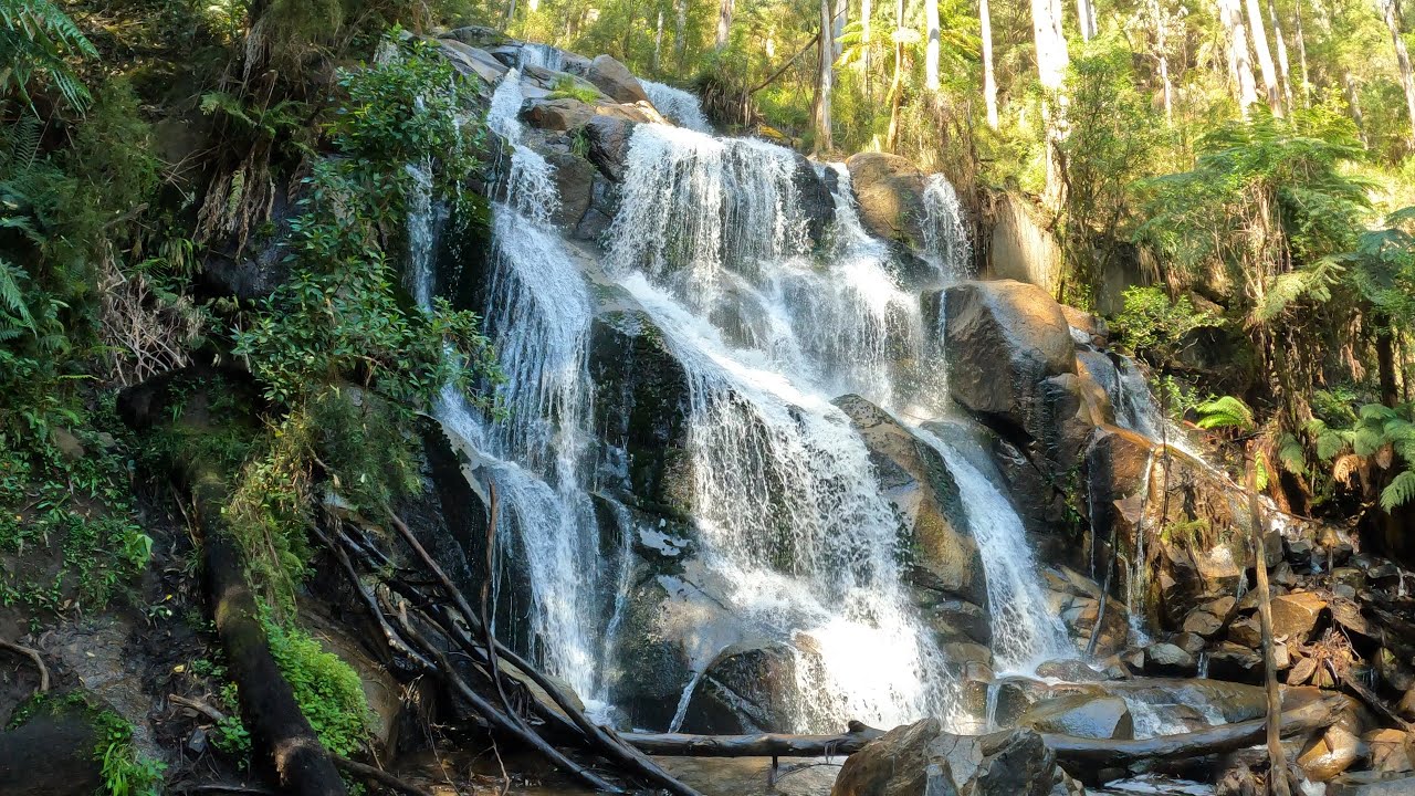 4K Virtual Walk - Toorongo & Amphitheatre Waterfalls [Relax Music][Gippsland, Noojee]