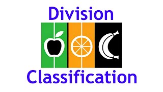 Writing a Division and Classification Essay