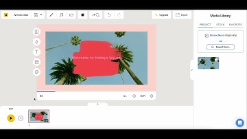 Animoto Screen Recording