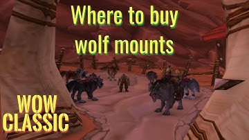WoW Classic/Where to buy Orc wolf mounts