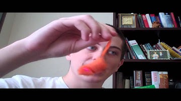 EverCats Toy Review - Catnip Mice