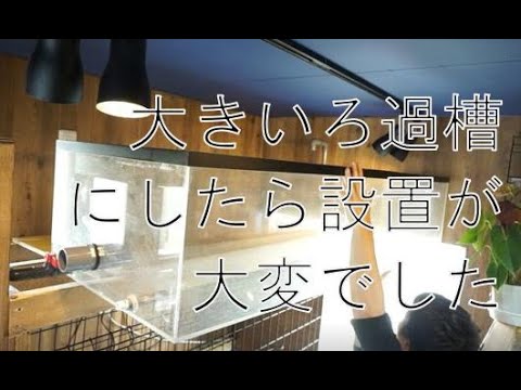 普通の5倍の容量？150cm超特大上部フィルター？新ろ過槽設置しま