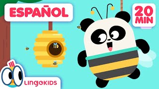 ¿Cómo está la ABEJA?  + Canciones Infantiles | Lingokids en Español