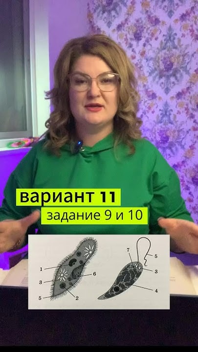 Эвглена зеленая и инфузория туфелька строение ЕГЭ биология - YouTube
