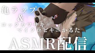 【ASMR配信】屋根裏ソウジは囁きたい！【掃除屋Vtuber】