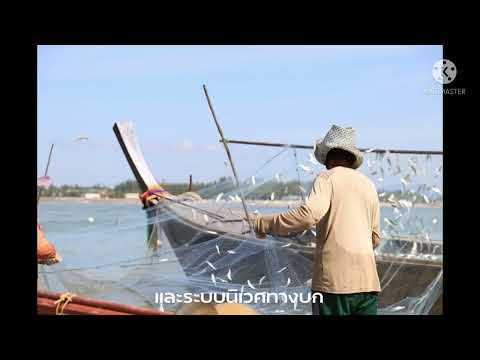 ผลสลากกินแบ่งรัฐบาล วันที่ 1 พย. 2567