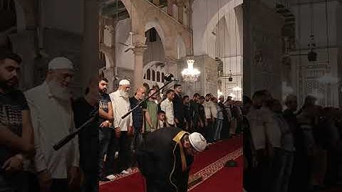 صلاة العشاء من الجامع الأموي الكبير ليوم السبت ١٩ ربيع الآخر ١٤٤٧ ه‍ تلاوة #عامر_المهلهل