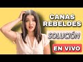 COBERTURA de CANAS rebeldes ¿que hacer?