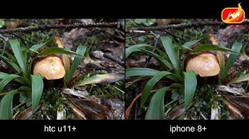 Htc U11 Plus Vs Iphone 8 Plus Camera Test Comparison