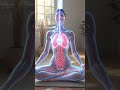 What Happens Inside Your Body During Yoga 🧘♀️ | 3D Transparent Anatomy