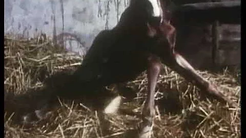 Buck Tick ANGELIC CONVERSATION PV