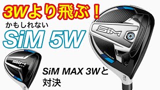 テーラーメイド「Simの5W」は「Sim MAXの 3W」より飛ぶのか？