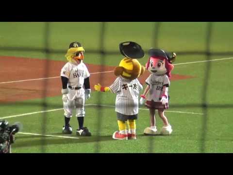 帽子を頭に乗せて遊ぶキー太とハリーとベルちゃん【フレッシュオールスター青森】 ドアラ グッズ