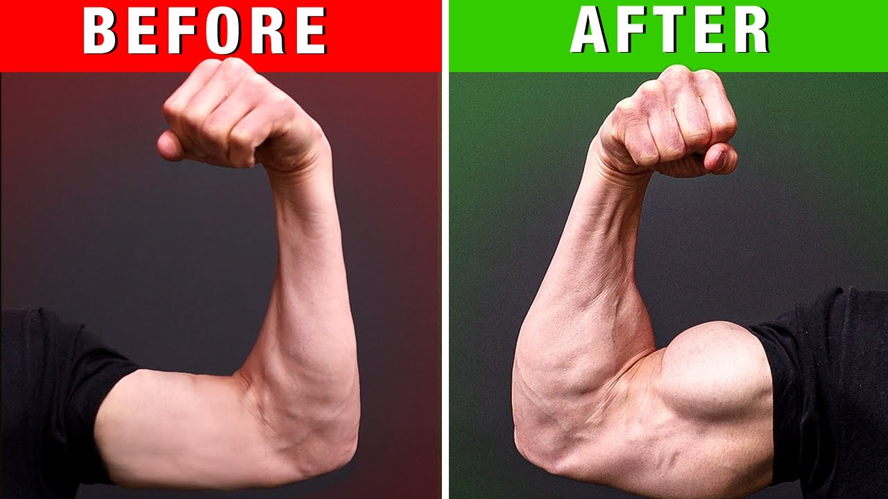 Why you should not train arms everyday: The best way to build bigger and  stronger arms - Gymrat Necessities