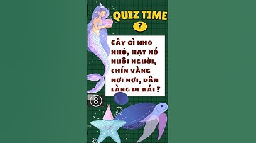 CÂU ĐỐ DÂN GIAN- CÂU ĐỐ VUI  #caudothongminh #games #giaitri #shorts #educational