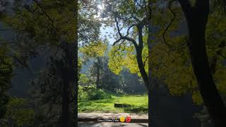 Sun Kissed Pera 🌞💋 #universityofperadeniya #sunrise #nature