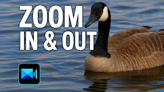How To Zoom Images On PowerDirector
