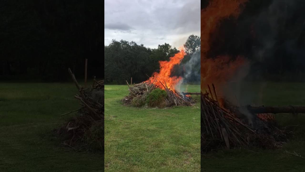 Bamboo Burn Pile YouTube